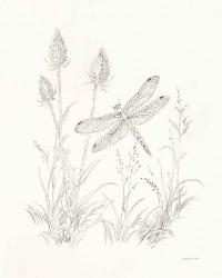 Nature Sketchbook IV | Obraz na stenu
