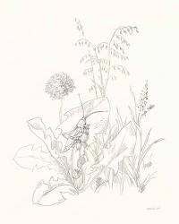 Nature Sketchbook VII | Obraz na stenu