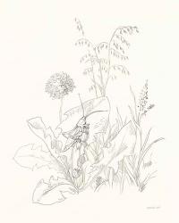 Nature Sketchbook VII | Obraz na stenu
