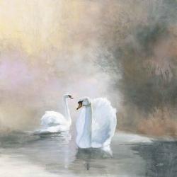 Swans in Mist | Obraz na stenu