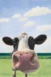 Funny Cow | Obraz na stenu