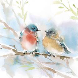 Bluebird Pair in Spring | Obraz na stenu