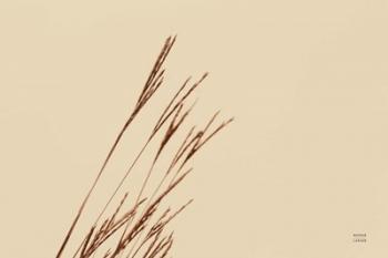 Lakeside Grasses IV | Obraz na stenu