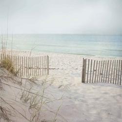 Beach Fence | Obraz na stenu