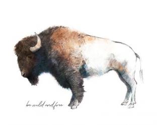 Wild Colorful Bison Dark Brown | Obraz na stenu