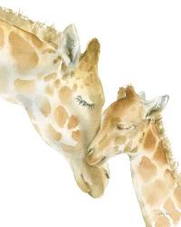 Giraffe Love on White | Obraz na stenu