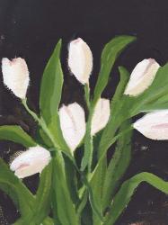 White Tulips on Black (1) | Obraz na stenu