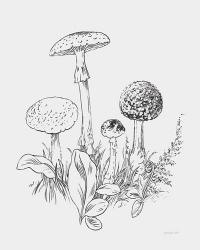 Natures Sketchbook II Bold Light Gray | Obraz na stenu