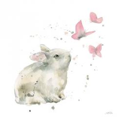 Dreaming Bunny I | Obraz na stenu
