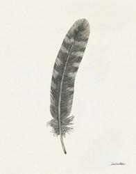 Springtime Feather I | Obraz na stenu