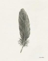 Springtime Feather II | Obraz na stenu