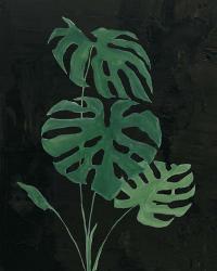 Palm Botanical I Black | Obraz na stenu