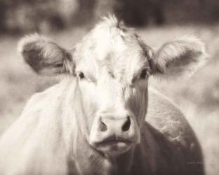 Pasture Cow Neutral | Obraz na stenu