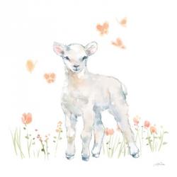 Spring Lambs II | Obraz na stenu