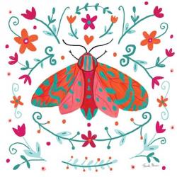 Pretty Moth | Obraz na stenu