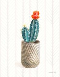 Desert Greenhouse XI | Obraz na stenu