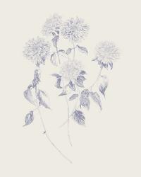 Flowers on White V Blue | Obraz na stenu