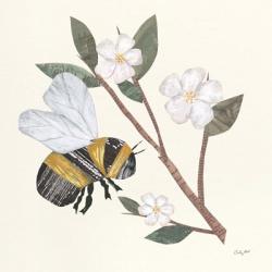 In the Garden Bee II | Obraz na stenu