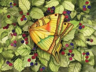 Bountiful Butterfly | Obraz na stenu