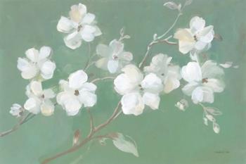 Blossoms on Sage | Obraz na stenu
