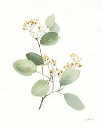 Flowers of the Wild I | Obraz na stenu