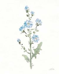 Flowers of the Wild III | Obraz na stenu