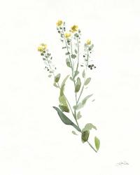 Flowers of the Wild IV | Obraz na stenu