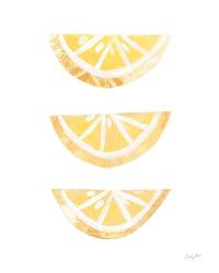 Lemon Slices I | Obraz na stenu