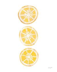 Lemon Slices II | Obraz na stenu