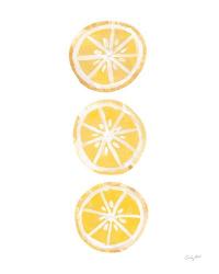 Lemon Slices II | Obraz na stenu