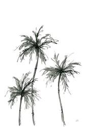 Shadow Palms I | Obraz na stenu