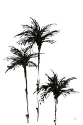 Dark Palms II | Obraz na stenu