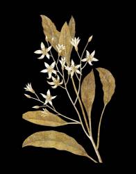Gold Botanical V on Black | Obraz na stenu