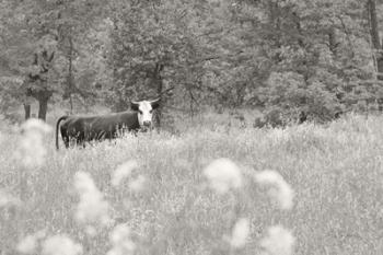 Summer Farm II BW | Obraz na stenu