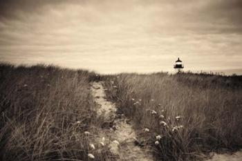 Nantucket Light Sepia | Obraz na stenu