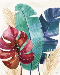 The Tropics III | Obraz na stenu
