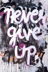 Never Give Up | Obraz na stenu