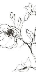 Sketch of Roses Panel I | Obraz na stenu