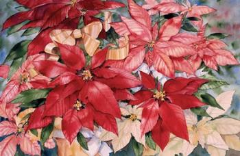 Poinsettia | Obraz na stenu