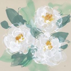 Peonies on Cream II | Obraz na stenu