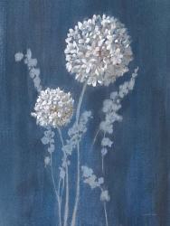 Airy Blooms I Dark Blue | Obraz na stenu