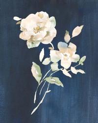 White Florals of Summer IV | Obraz na stenu