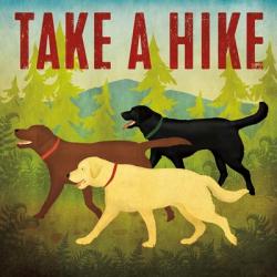 Take a Hike Lab II | Obraz na stenu