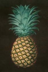 Vintage Pineapple I | Obraz na stenu