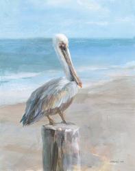 Pelican by the Sea | Obraz na stenu