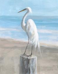 Egret by the Sea | Obraz na stenu