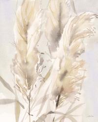 Light Pampas Grasses II | Obraz na stenu