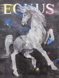 Equus Stallion | Obraz na stenu