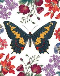 Butterfly Garden III | Obraz na stenu