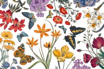 Butterfly Garden VI | Obraz na stenu